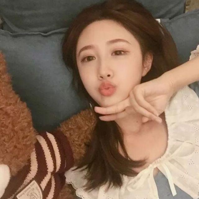 全色太阳花的照片