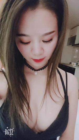 叶子的照片