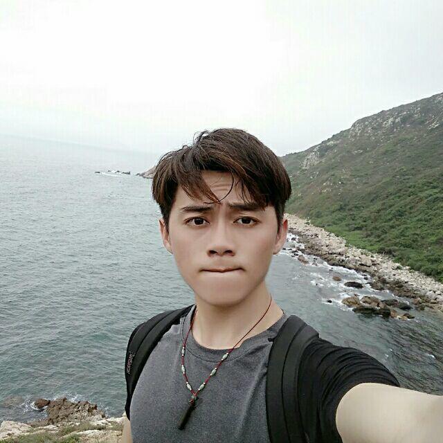 疯狂的大象的照片