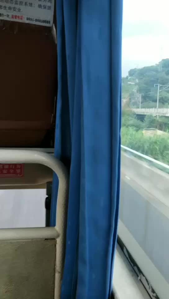 瓶儿的照片