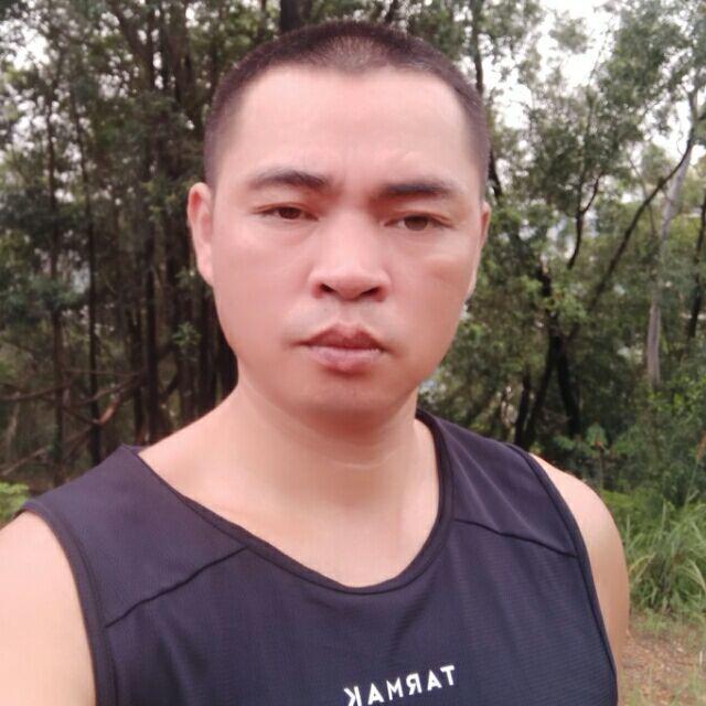 无根树的照片