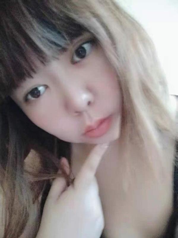 家养大白鹅的照片