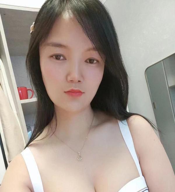 枯木的叶子的照片