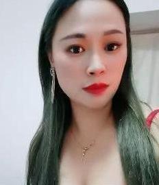 小蜜蜂的照片