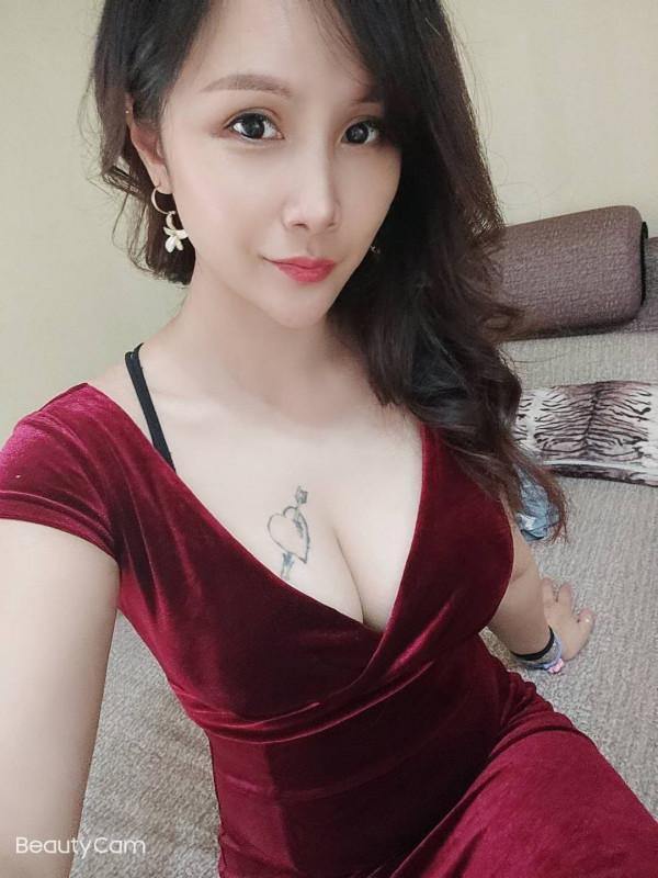 无辜的海燕的照片