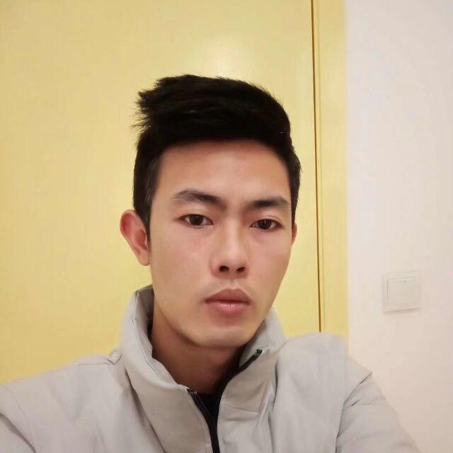 北极狐的照片