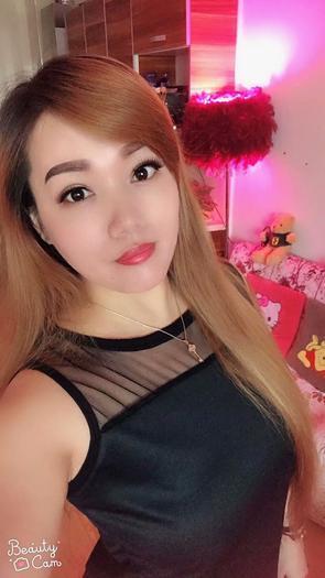 小燕子的照片