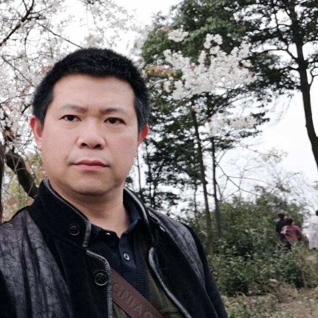 柳随风72的照片