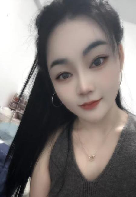 燕子的照片
