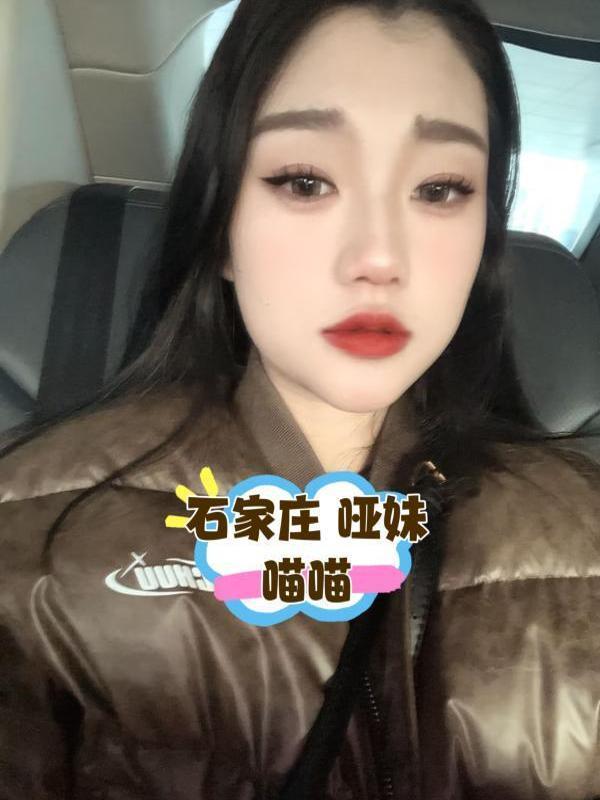 喵喵的照片