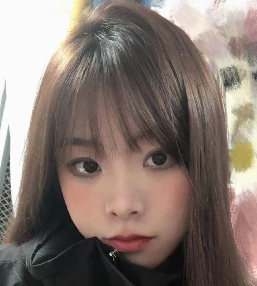 野猫的照片