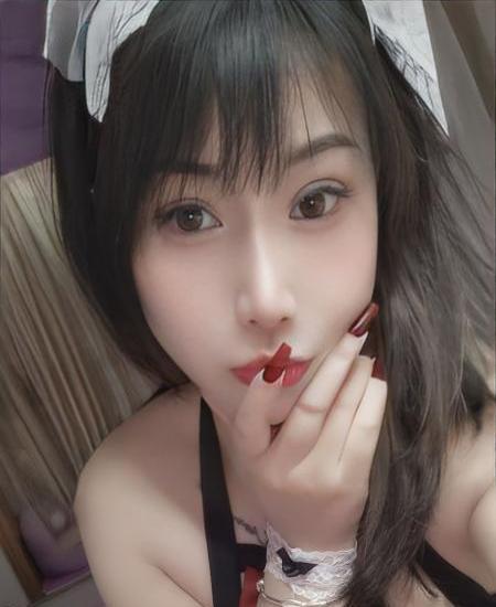 粉玫瑰的照片