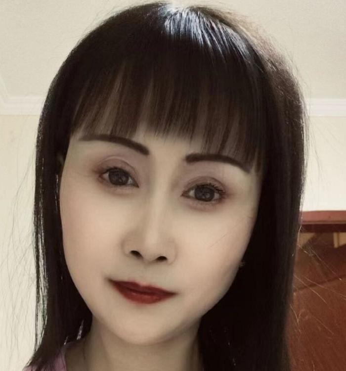 含羞草的照片