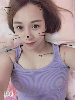 燕子的照片