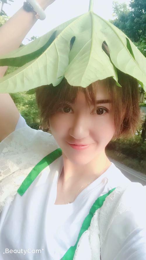 小野猫的照片