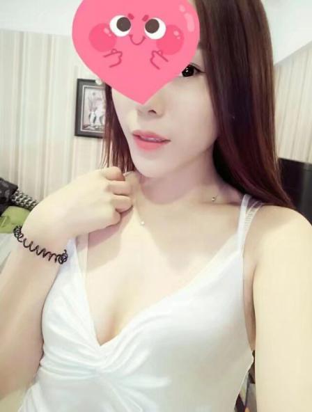 海豚湾恋人的照片
