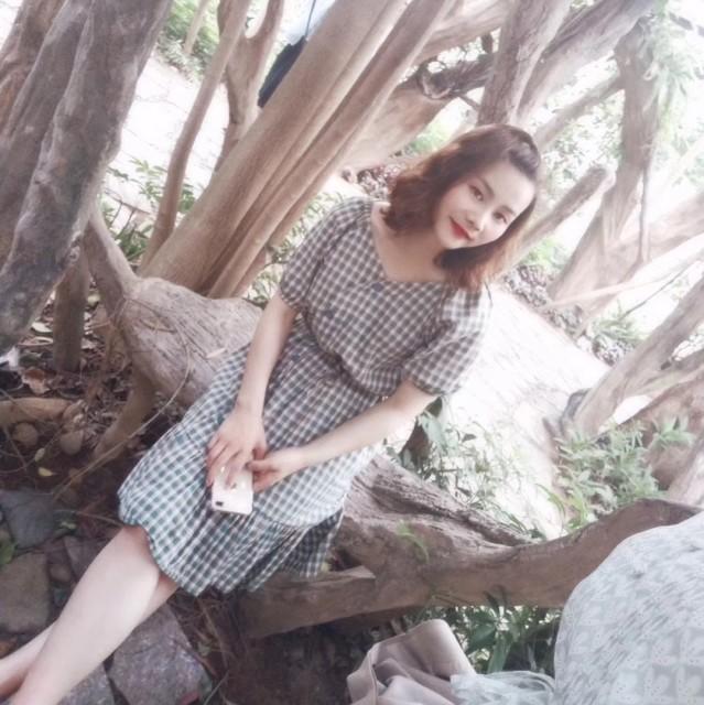 燕子的照片