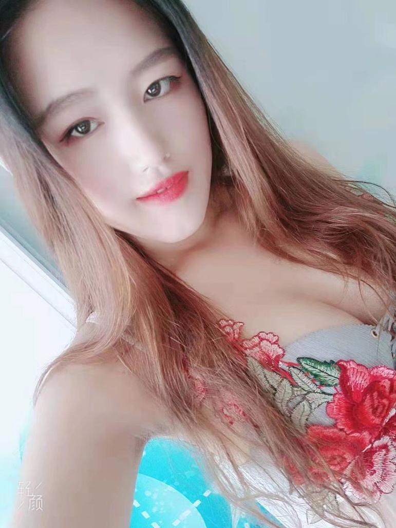 毛豆的照片