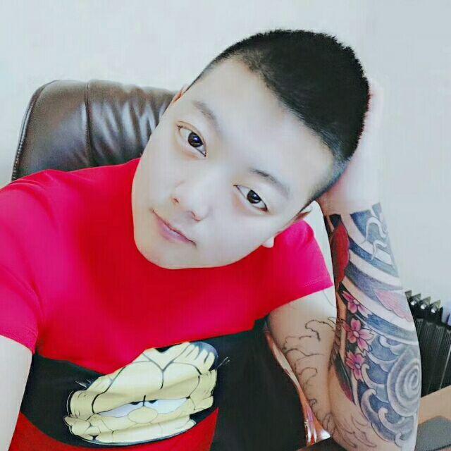 不会飞的鸟的照片