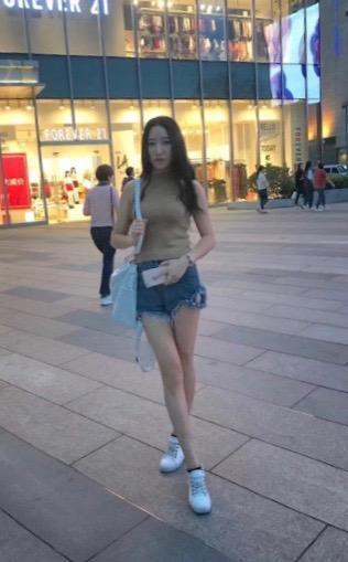 枫叶的照片