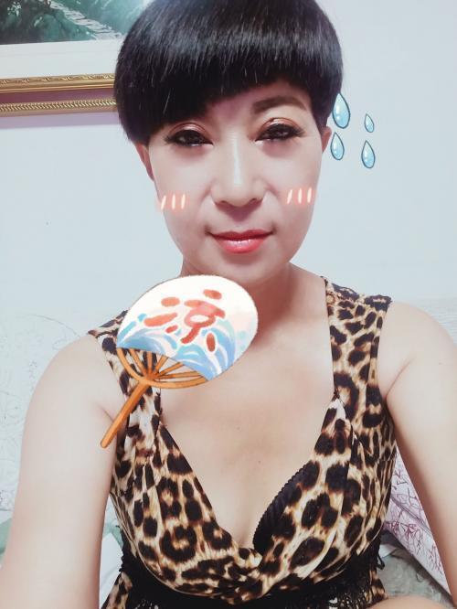 风中的柳絮的照片