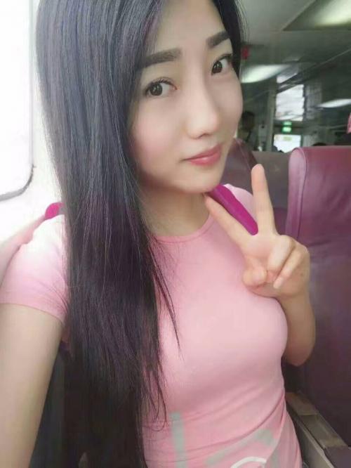 小燕子的照片