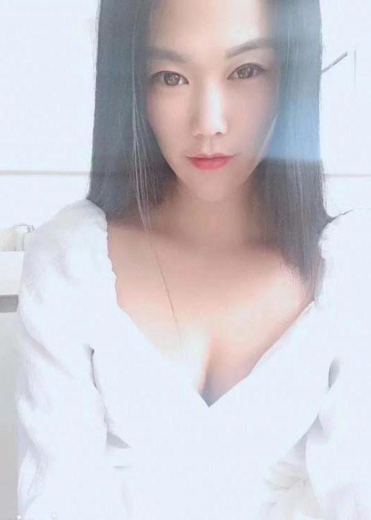 爬上树的鱼的照片