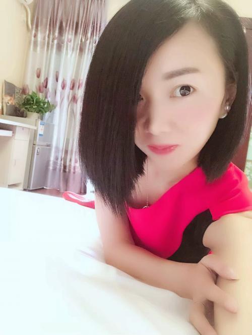 红玫瑰的照片