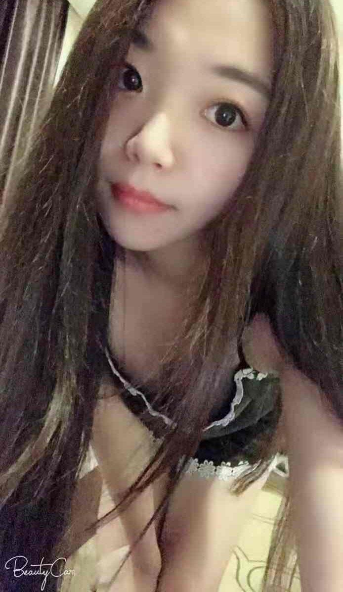 饱满的蜜蜂的照片