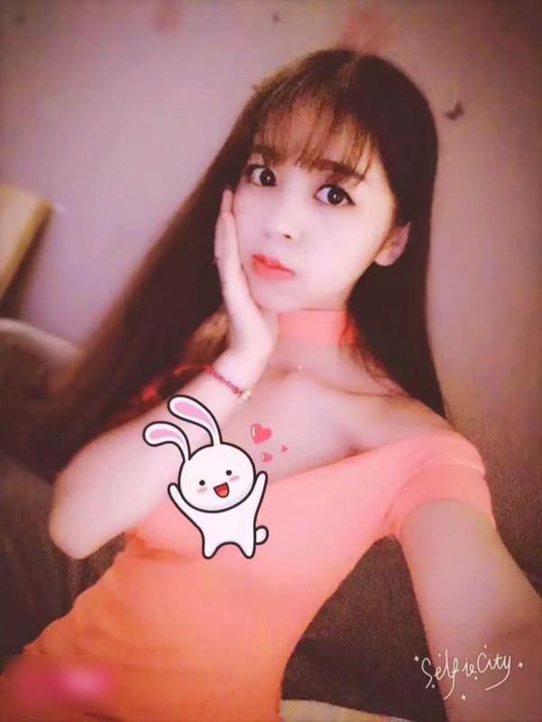 可可的照片