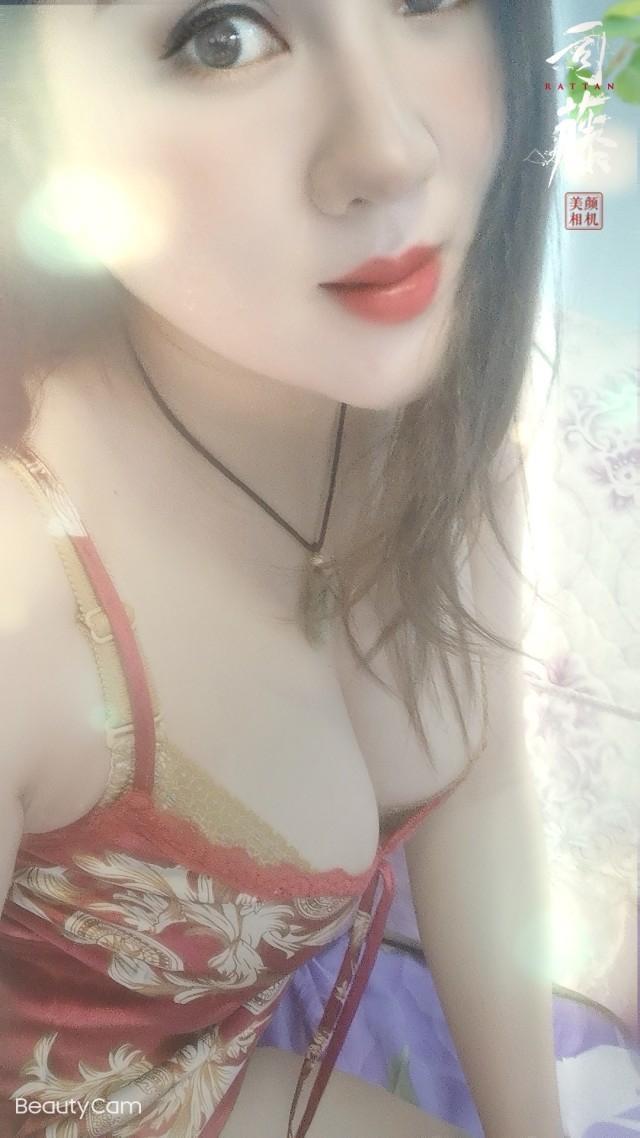 小野猫的照片