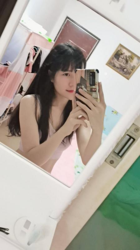 小乳猪的照片