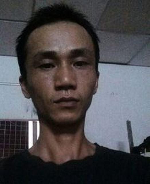 白杨的照片
