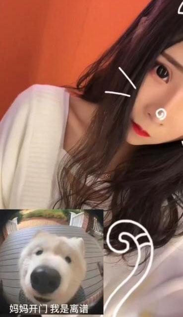 南风吹过的照片