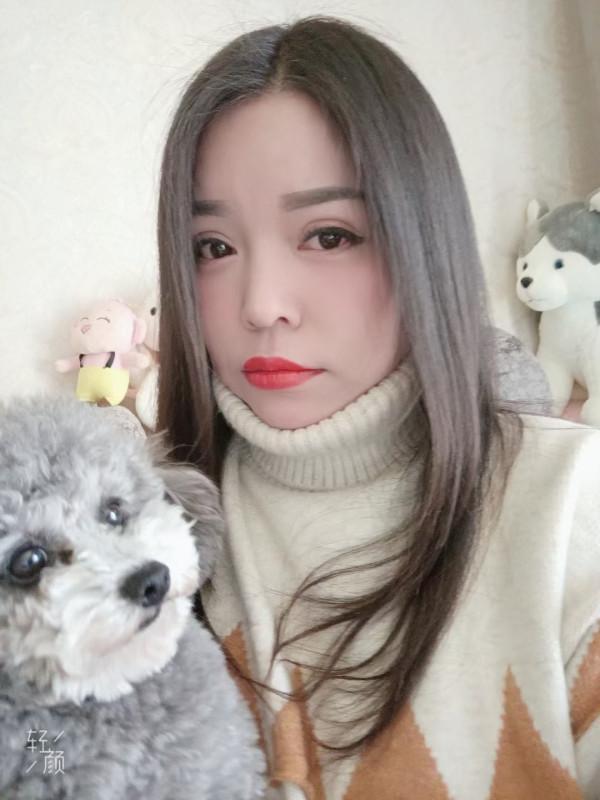 可爱的小狗的照片
