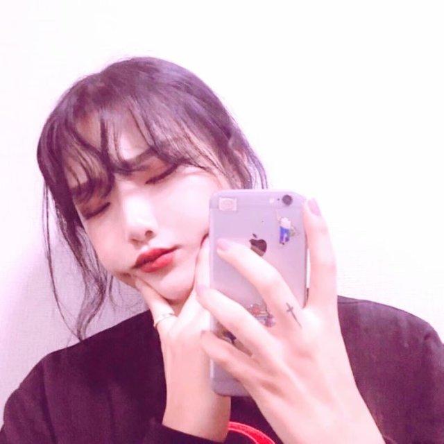刺手玫瑰的照片