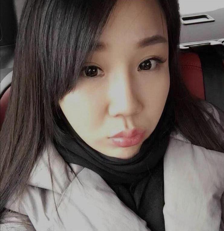 燕子的照片